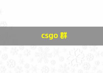 csgo 群